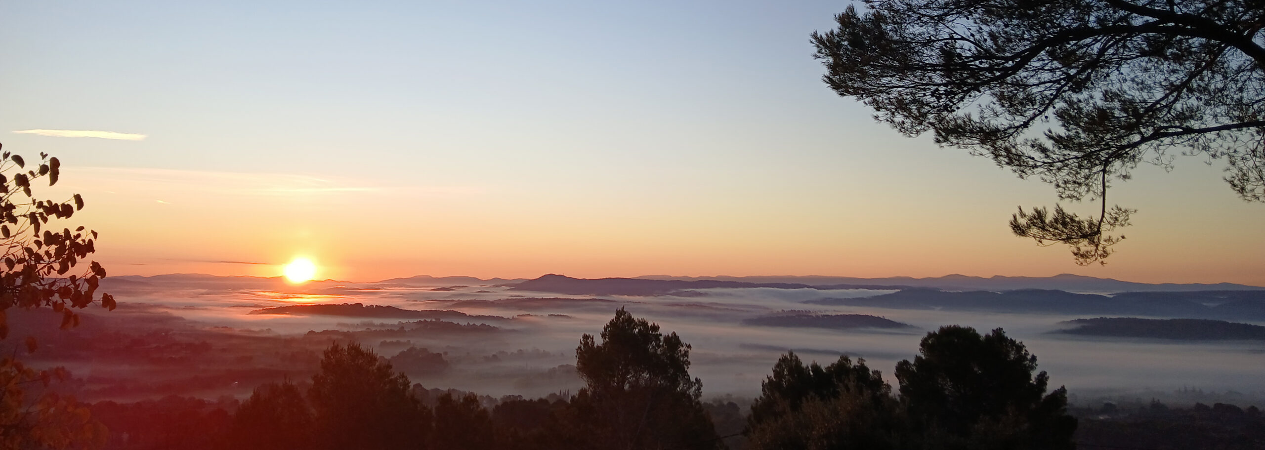 entete-temps-forts-novembre