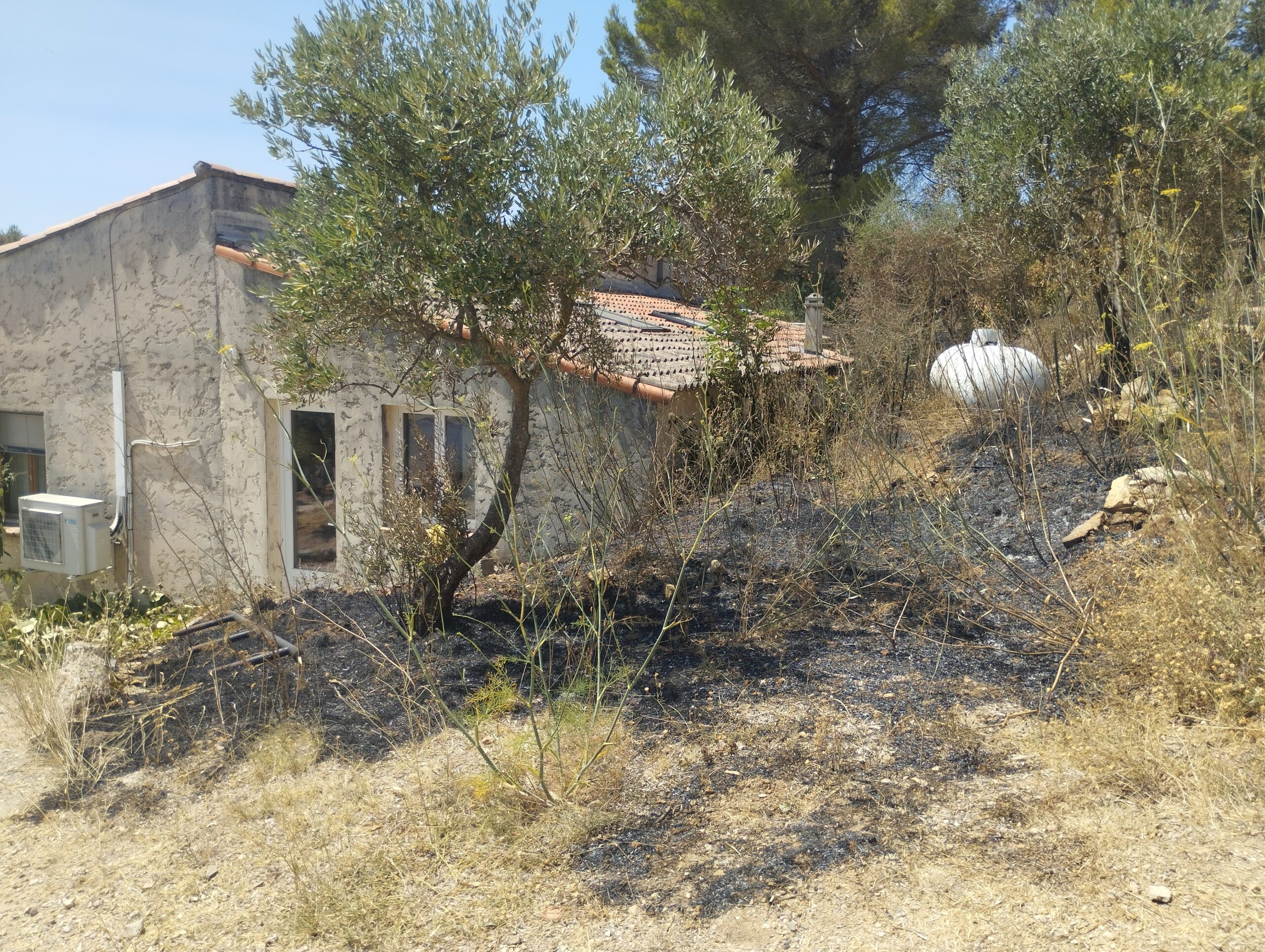 1784812138523